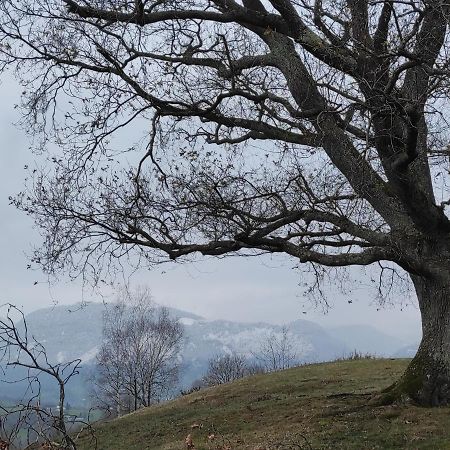 Gite Des 3 Arbres Aramits Esterno foto