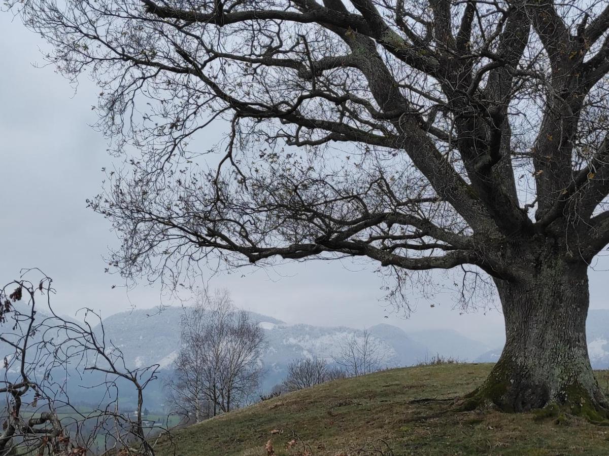 Gite Des 3 Arbres Aramits Esterno foto