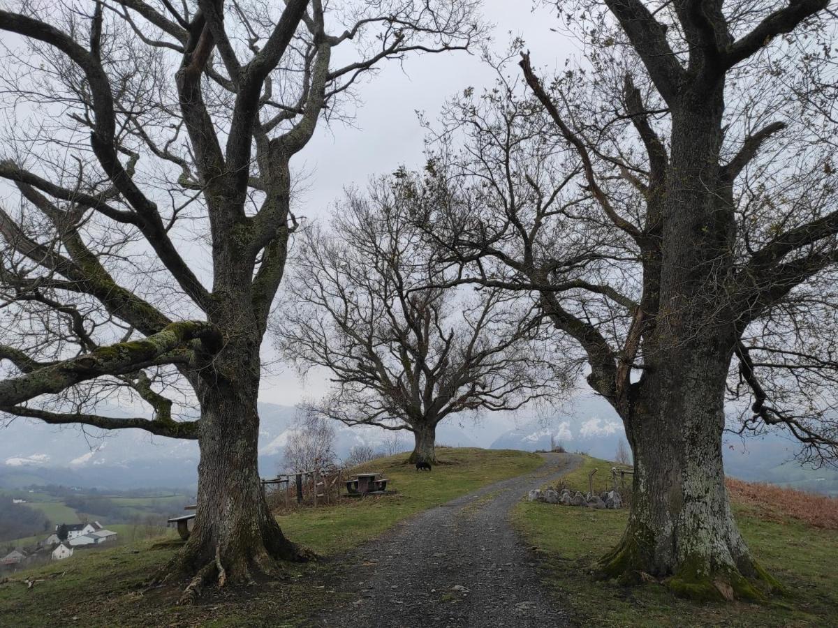Gite Des 3 Arbres Aramits Esterno foto